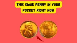 Could a Lincoln Wheat Penny in Your Pocket Be Worth $168K?