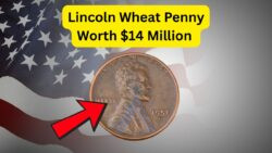 Could You Be Holding a $14 Million Treasure? The Lincoln Wheat Penny Still Circulates